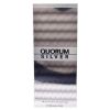 Quorum Silver by Antonio Puig for Men - 3.4 oz EDT Spray